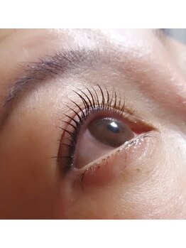 プリマ(PRIMA)/まつげパーマ上