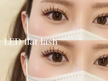 プラス サード(Plus 3rd)/LED flat lash