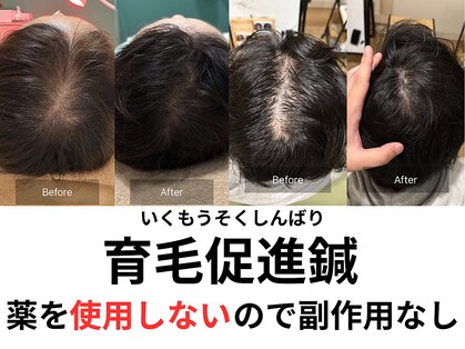 パンダ(Panda)の写真