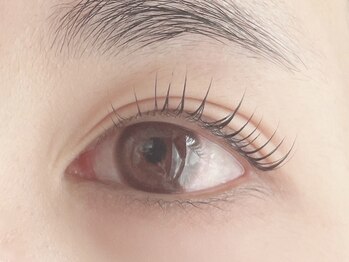 エルシャ(Elsha)/まつげパーマ上★5500