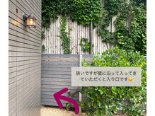 ルピナス(Lupinus.)/【入り口】