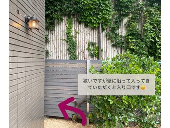 ルピナス(Lupinus.)/【入り口】