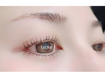 リュッカ(Lycka)の写真