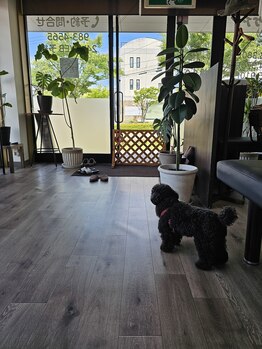 ほぐし屋 ほぐべえ/内観2