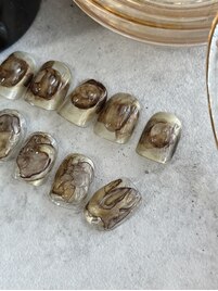 定額フルコース