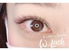 【上品ナチュラル】バインドロック級◇ダブルラッシュ◇120本9570→7830