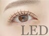 ◎【再来】LEDフラットラッシュリペア(お付けたし)50本♪¥4700