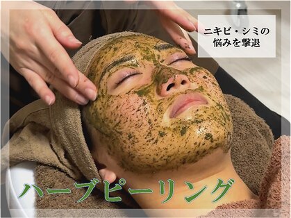 エース(ACE.)の写真