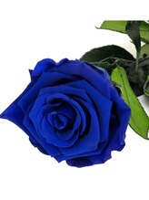 健楽整体院 愛 アイ