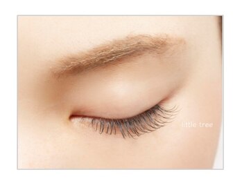 リトルツリー(little tree)の写真/バラつき,抜けが気になる方へ!高持続のラッシュリフト・パ-マ・エクステで理想のまつげをキ-プしませんか?
