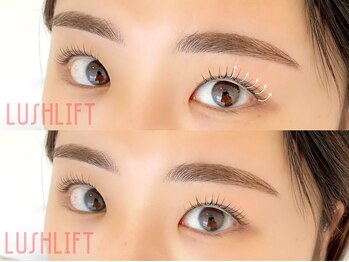 シャルフ(shalf)/