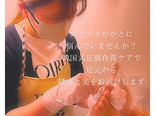 カシェット 広島店(Cachette)