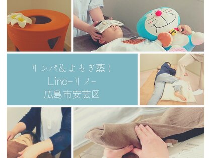 リノ(Lino)の写真