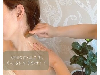 アンプリチュード(Amplitude)