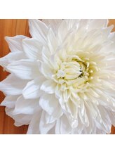 ダリア(Dahlia)&nbsp;Yoshida Natsumi