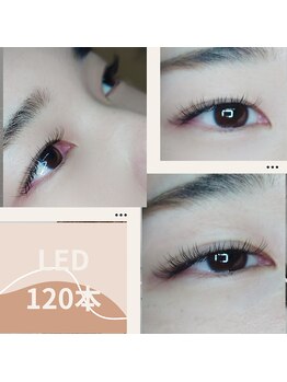 アポストロフィエス/LED120本