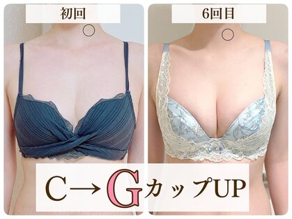 美人バスト リグラス(ReGrous)の写真