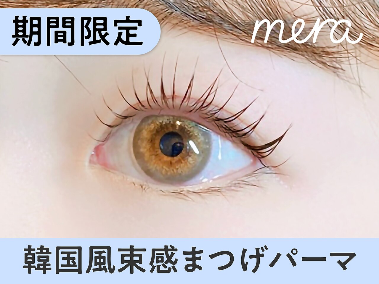【5月21日まで限定】韓国風★束感まつげパーマ  \5220→ 【\3970】