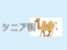 【シニア割】おカラダお悩み改善整体60分　¥4800→¥3500