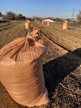 ニフ 六本木(nifu)/使用済のおがくずの行方・・・1