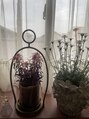 ソニョ(Sonyo)&nbsp;花や観葉植物が好きです。お手入れ詳しい方　教えてください。