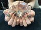 ロココ ラブリヤ ネイル 安城店(Rococo Lovelya Nail)の写真/【他店オフもいつでも無料】定額コースもデザイン豊富！充実のケアメニューで差が付くワンランク上の指先に