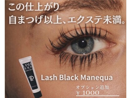 ワン 茅ヶ崎(one)の写真