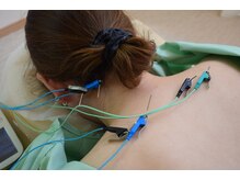 シープ(Sheep)/肩　後頭部　パルス