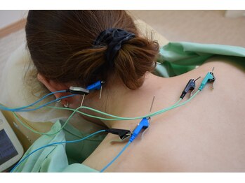 シープ(Sheep)/肩 後頭部 パルス