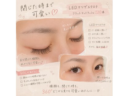 オット(OttO)の写真