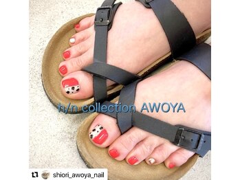 アオヤ(h/n collection AWOYA)/フットの季節到来!!