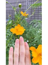桃の木 吉祥寺店/自爪は散歩　キバナコスモス