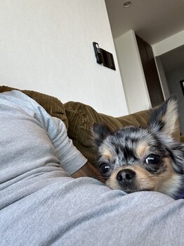 セバス 赤坂見附(SEBAS)/SEBAS GYM