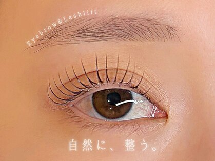 ムク(mucu.)の写真