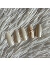 6月定額　HAND シルバープラン