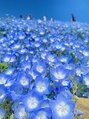 グレースフィオーレ 横浜店(gracefiore) 生花が大好きなので花畑に行ったり、自宅にもお花を飾ってます♪