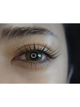 初めての方にオススメ