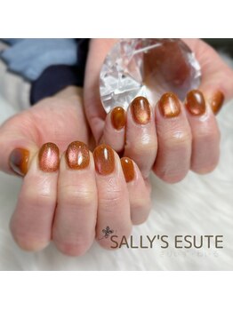 さりぃず ねぃる(SALLY’S NAIL)/２色使い/ベッコウカラーにマグ
