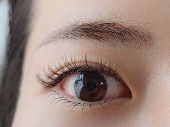 まつげやさんプラス 広島段原(まつげやさんplus)の写真/【ボリュームラッシュ80束6600円】ふんわりボリュームでナチュラルeyeが新常識♪初めての方も大歓迎◎