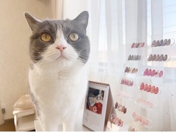 ミネット(nail Minette)/癒し空間☆プライベートサロン