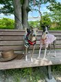 ホットヨガスタジオ レッツ 岡崎店(LET's) 自宅でイタリアングレーハウンドを2匹飼っています！