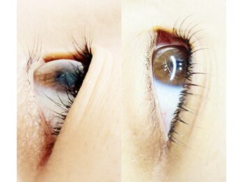 イリーズ 新横浜(IRISE)/新横浜/まつげパーマ/マツエク