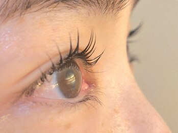 マールム(MALUM)/まつ毛パーマ【ラッシュリフト】