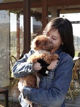 チヴォリ ニー(CIVOL nii)&nbsp;nii waka