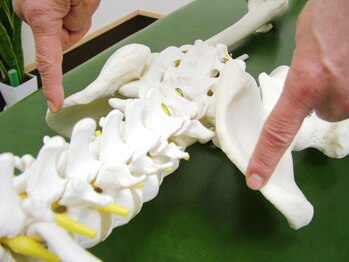 片平整体療術院/