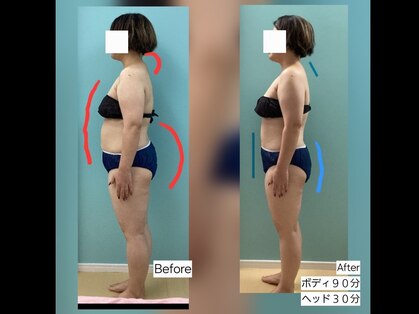 ステラ(Stella)の写真