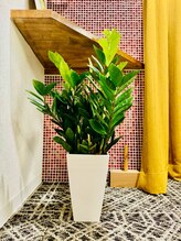 サロン ヴァルム 赤坂店(salon warm)/赤坂/溜池山王/虎ノ門/六本木