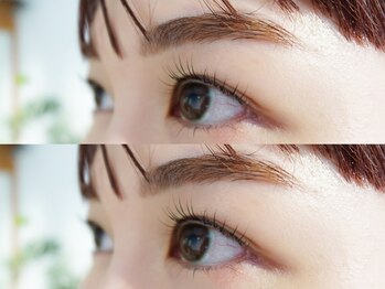 ロヌ(RONU)/アイブロウ ＋ アイラッシュ上下