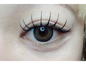 ナナ 福岡(NANA)/フラットラッシュ140本