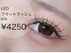 トータルビューティー ララ(Total Beauty RARA)の写真